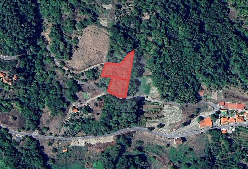 Terreno à venda em Paus, Resende RE/MAX Portugal