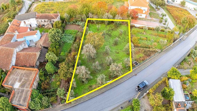 Terreno à venda em Santar e Moreira, Nelas RE/MAX Portugal