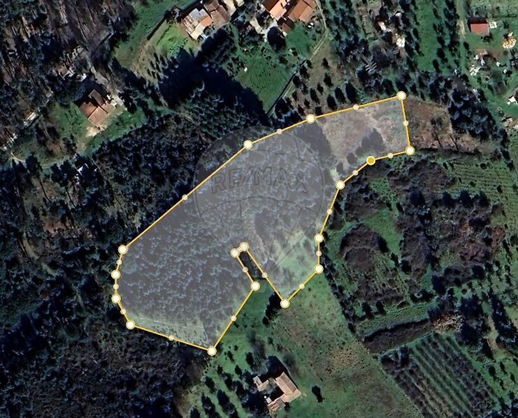 Terreno à venda em Nelas, Nelas RE/MAX Portugal