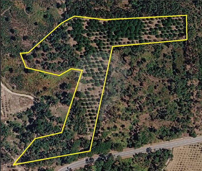 Terreno à venda em Fornos de Maceira Dão, Mangualde RE/MAX Portugal