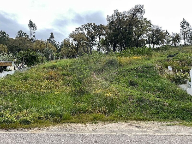 Terreno à venda em Bemposta, Abrantes RE/MAX Portugal