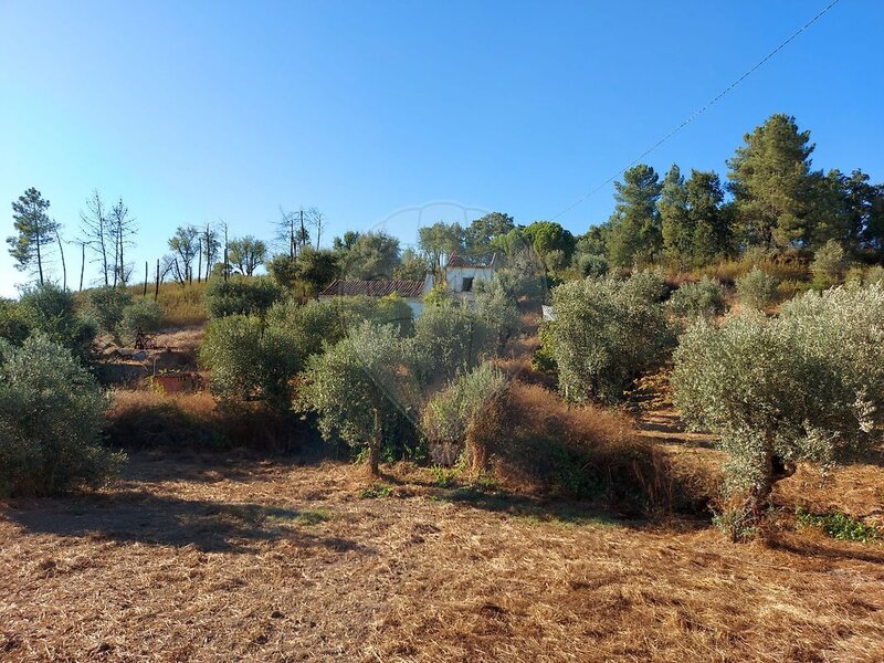 Quinta à venda em Mouriscas, Abrantes RE/MAX Portugal