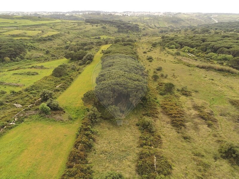 Terreno à venda em São João das Lampas e Terrugem, Sintra RE/MAX Portugal