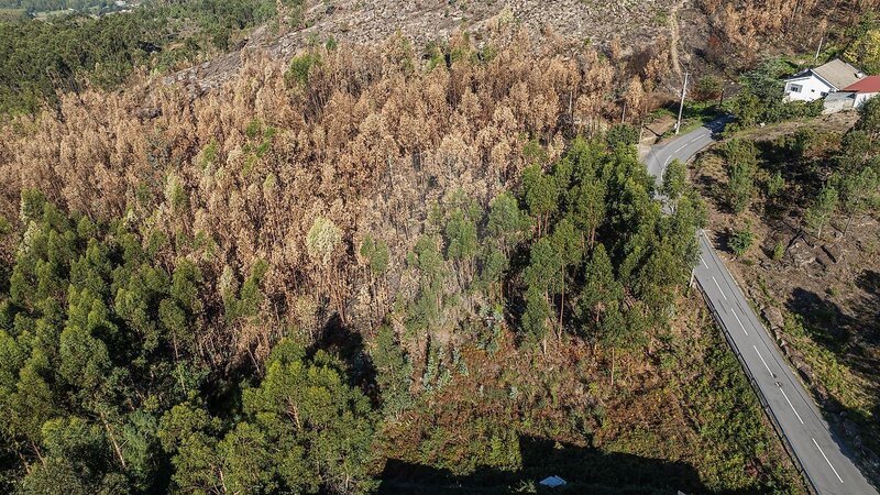 Terreno à venda em Quinchães, Fafe RE/MAX Portugal
