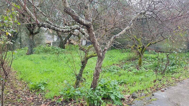 Terreno à venda em Foz de Arouce e Casal de Ermio, Lousã RE/MAX Portugal