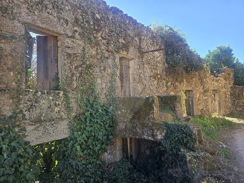 Moradia à venda em Santiago de Cassurrães e Póvoa de Cervães, Mangualde RE/MAX Portugal