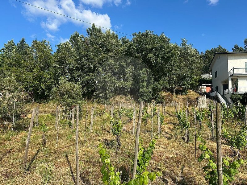 Terreno à venda em Fornos de Maceira Dão, Mangualde RE/MAX Portugal