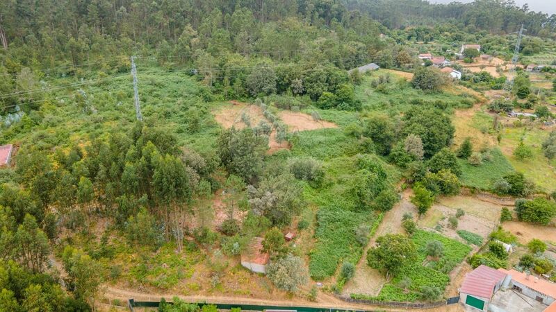 Terreno à venda em Fataunços e Figueiredo das Donas, Vouzela RE/MAX Portugal