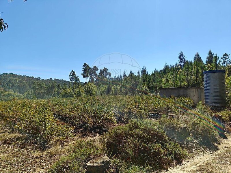 Terreno à venda em São Miguel do Mato, Vouzela RE/MAX Portugal