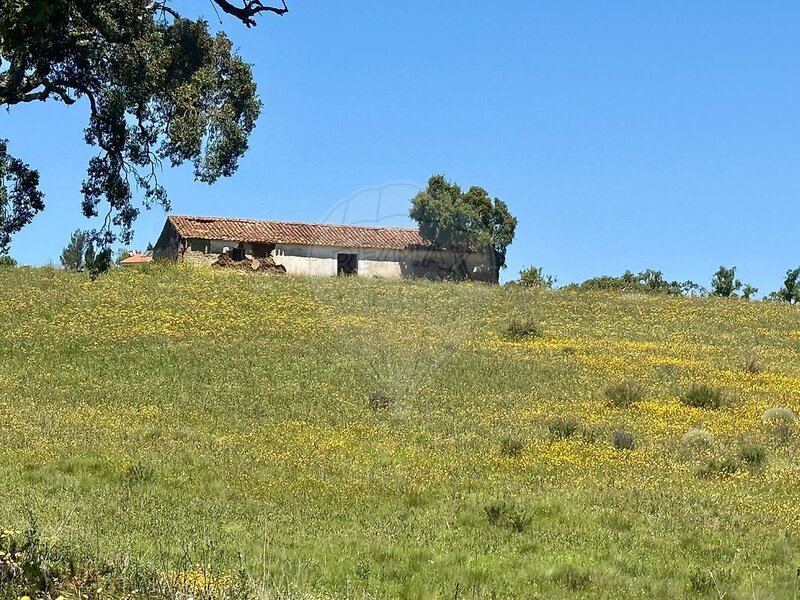 Casa en venta en São Teotónio, Odemira RE/MAX Portugal