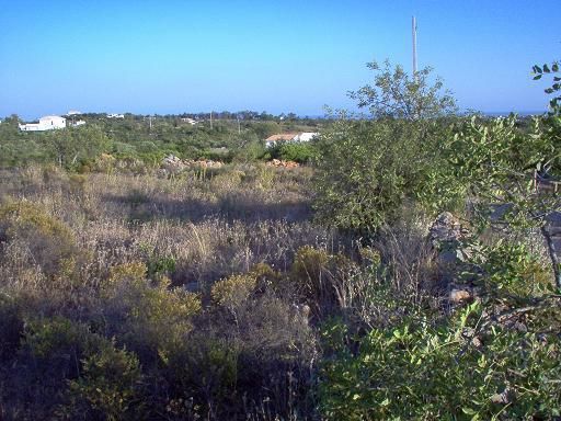 Land Rustic with 1960sqm Quelfes Olhão - construction viability, easy access