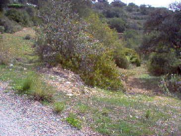 Land with 2.92sqm Faro - construction viability