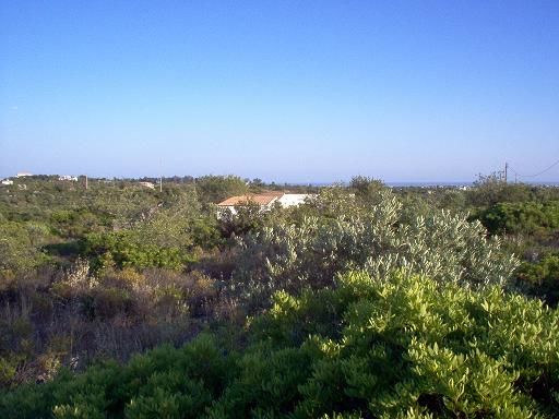 Land Rustic with 40680sqm Faro - easy access