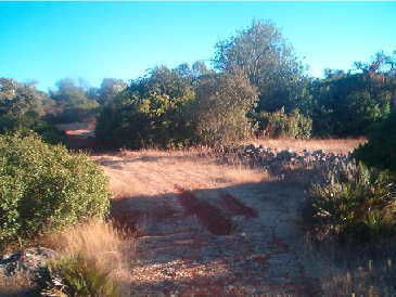 Terreno Agrícola com 15480m2 Pechão Olhão