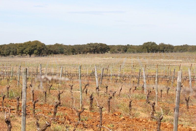 Chácara/Sítio/Fazenda Mourão