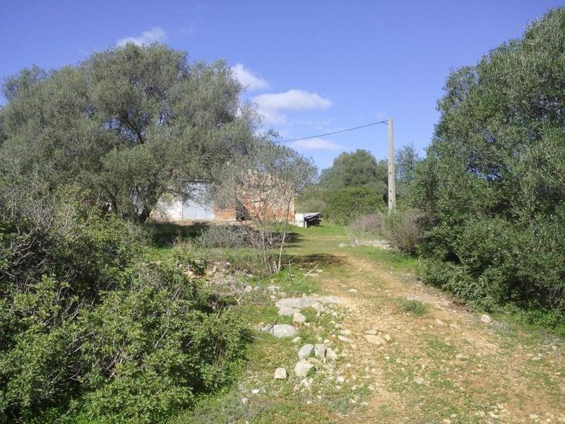 Farm with ruin Olhão - electricity, water, good access