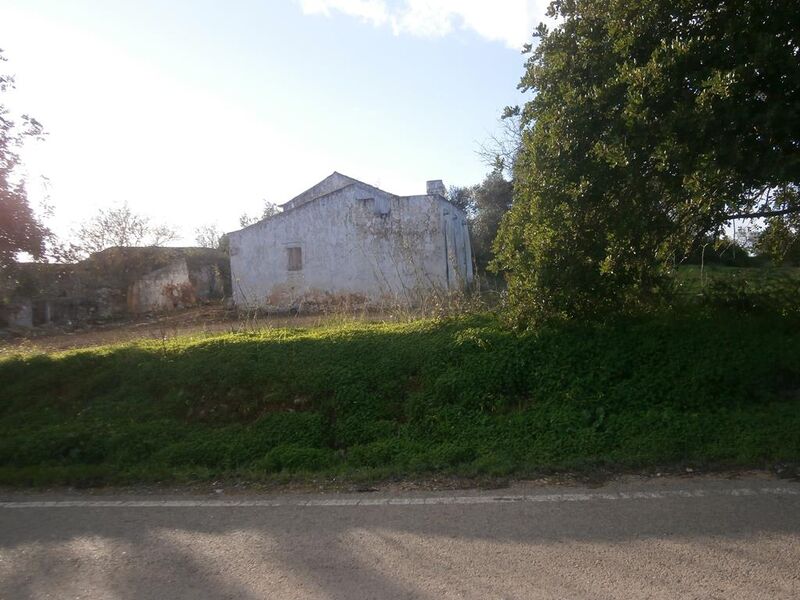 Small farm Charneca Pechão Olhão - great location