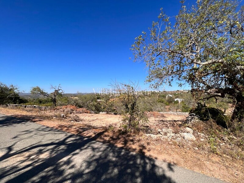 Terreno Rústico com 3978m2 Vale da Vaca Boliqueime Loulé - oliveiras