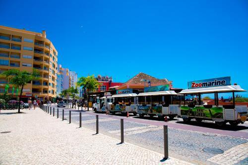 1000018440_avenida.jpg