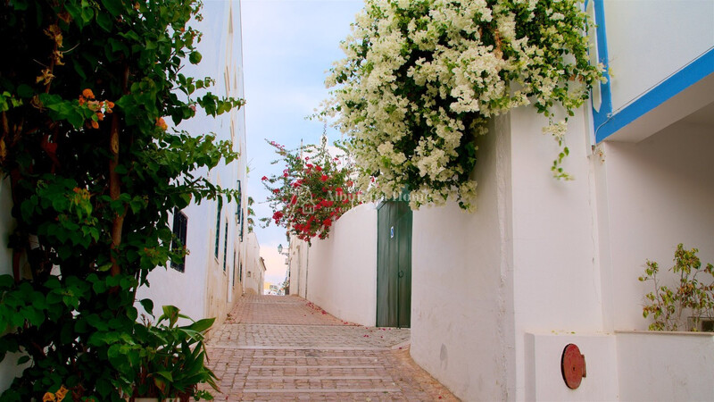 1000019393_232849-albufeira-old-town-square.jpg