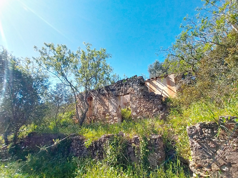 1000019829_12.webp