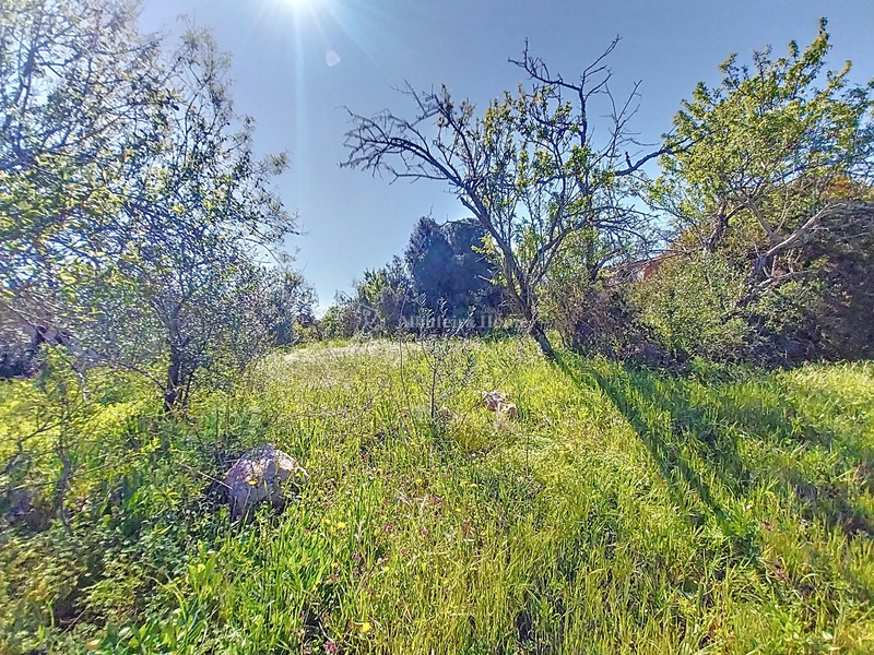 1000019829_7.webp