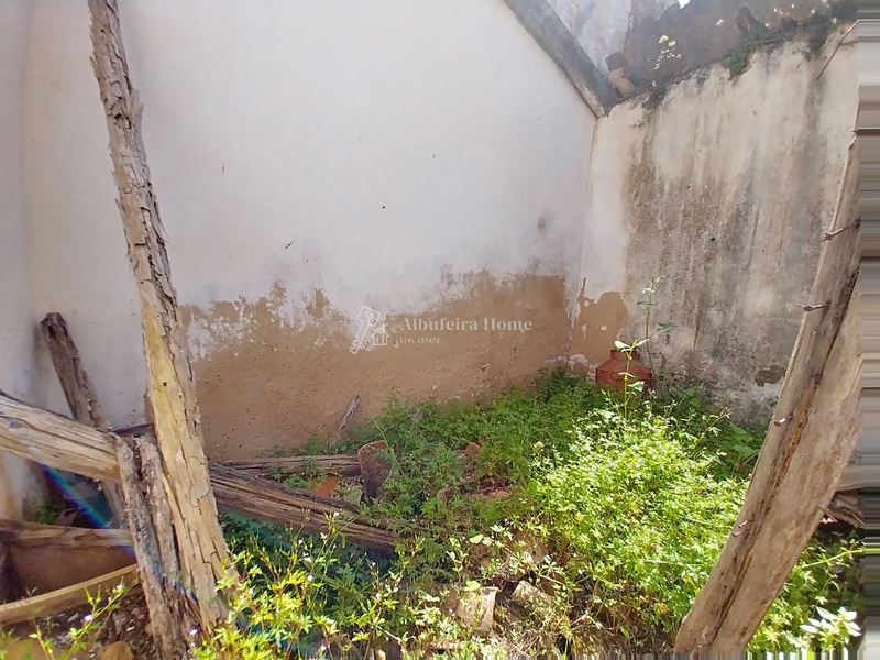 1000019886_6.webp