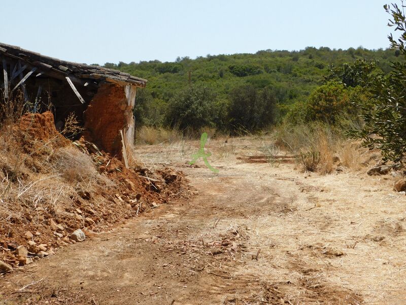 Land Agricultural to recover Monte Judeu Mexilhoeira Grande Portimão - water, electricity, fruit trees, excellent access