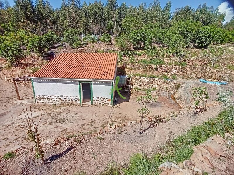 Land Rustic with 65680sqm Marmelete Monchique - cork oaks, water, fruit trees, well