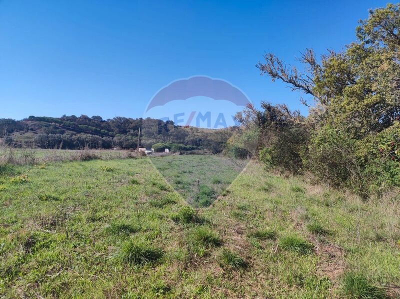 Terreno com 1150m2 à venda Vila do Bispo - água, poço, electricidade