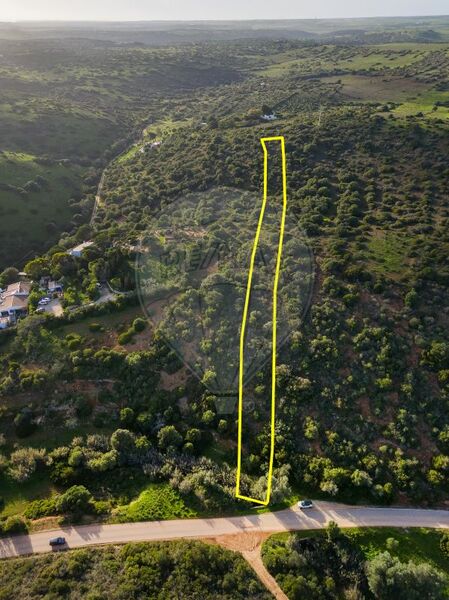 Land Rustic with 4200sqm Vila do Bispo - water, electricity, construction viability