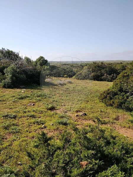 Land with 1750sqm Budens Vila do Bispo