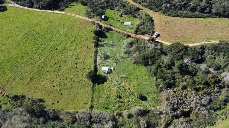 Land Rustic with 5750sqm Vila do Bispo - tank, fruit trees, olive trees, water