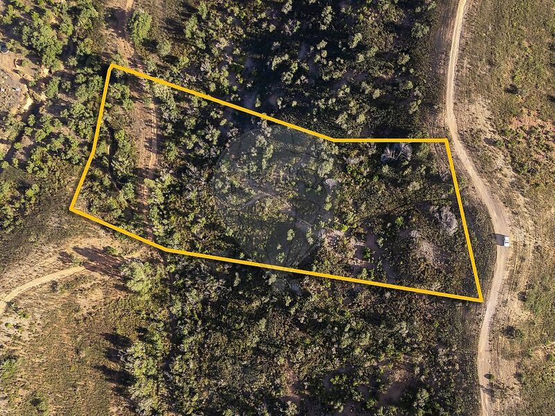 Terreno Rústico com 11400m2 Budens Vila do Bispo