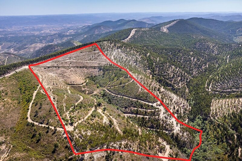 Land Urban with 89240sqm Monchique - water, arable crop, great view