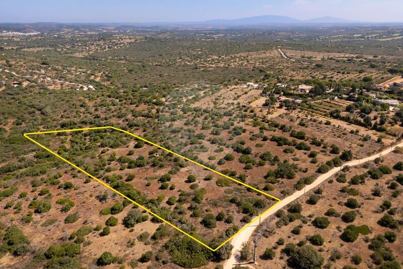 Terreno Rústico com 1132m2 Bensafrim Lagos - viabilidade de construção, electricidade, água da rede