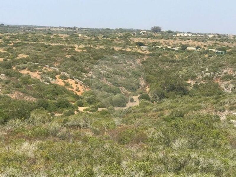 Land Agricultural with 12320sqm Barão de São Miguel Vila do Bispo