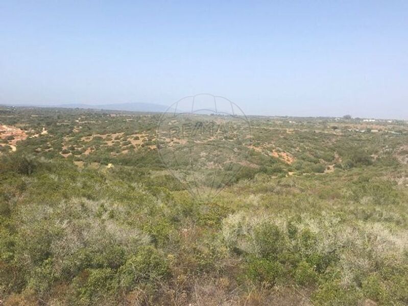 Land with 12320sqm Barão de São Miguel Vila do Bispo