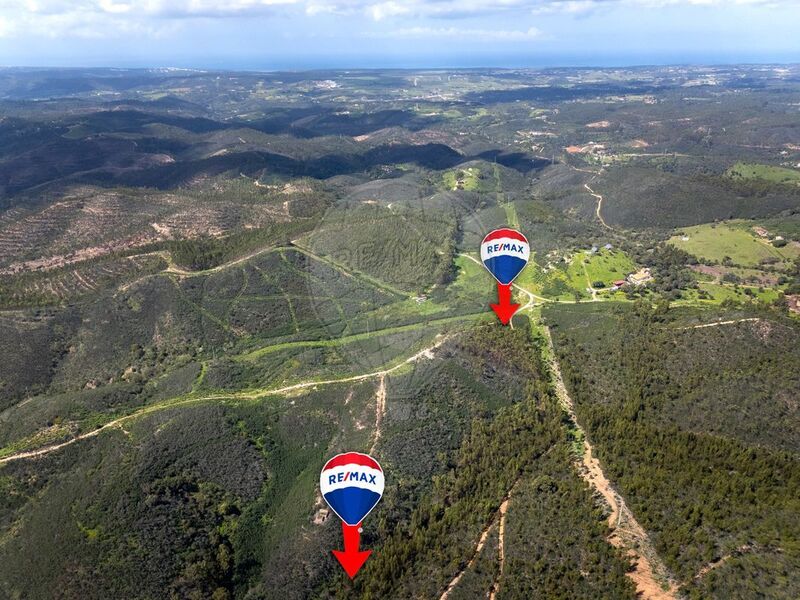 Terreno Rústico com 7500m2 Aljezur - zona muito calma