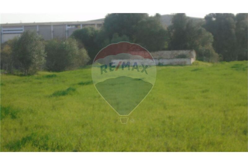 Land Agricultural flat Silves - tank, electricity, well