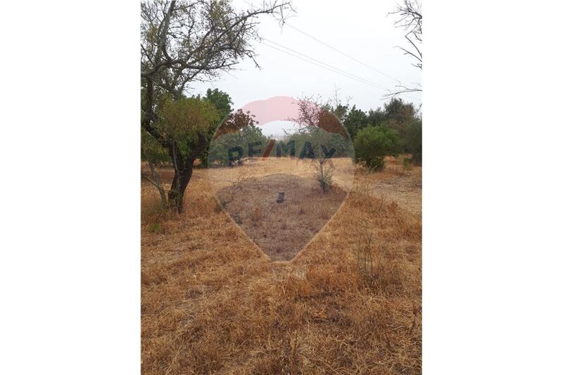 Land Agricultural with 1920sqm Silves - electricity