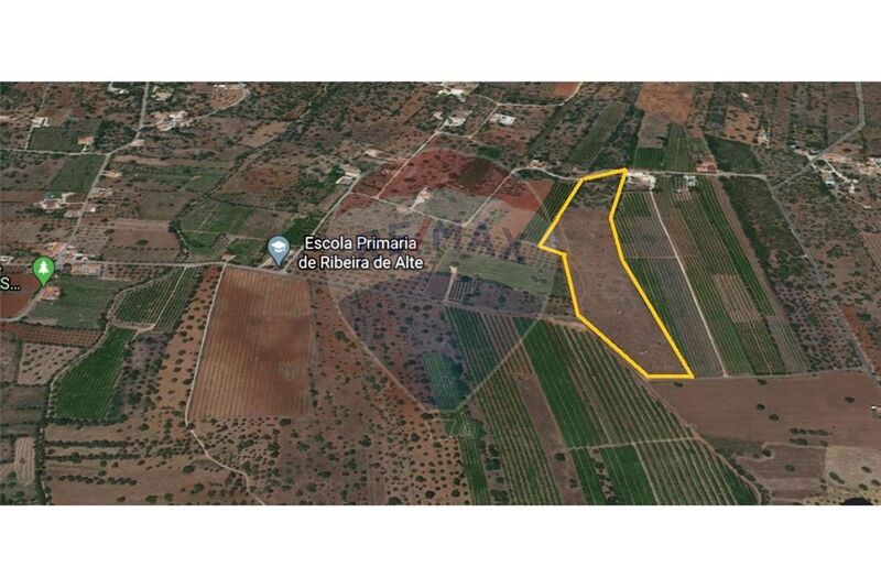 Land Agricultural with 52840sqm Paderne Albufeira - electricity, fruit trees, water, nice location