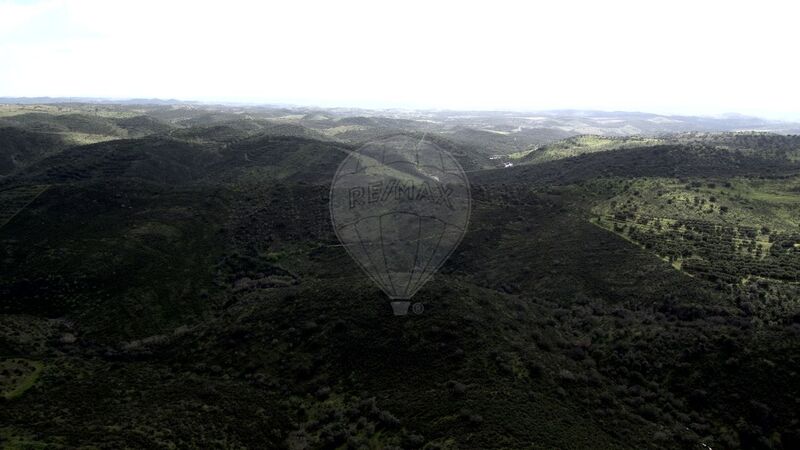 Terreno Rústico com 102050m2 Martim Longo Alcoutim - bons acessos