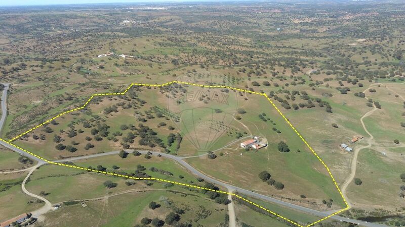 Farm 1 bedrooms Almodôvar - irrigated land, arable crop, cork oaks, electricity, water, water hole, olive trees, water hole, well, haystack