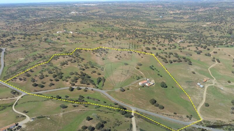 Farm V1 Almodôvar - irrigated land, arable crop, cork oaks, electricity, water, water hole, olive trees, water hole, well, haystack