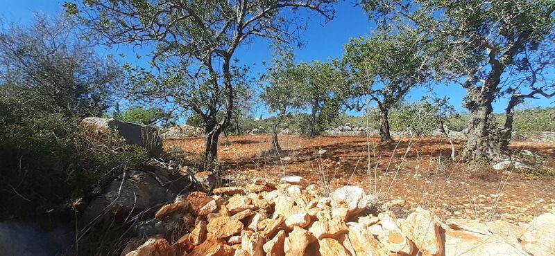 Land Rustic with 3500sqm Paderne Albufeira