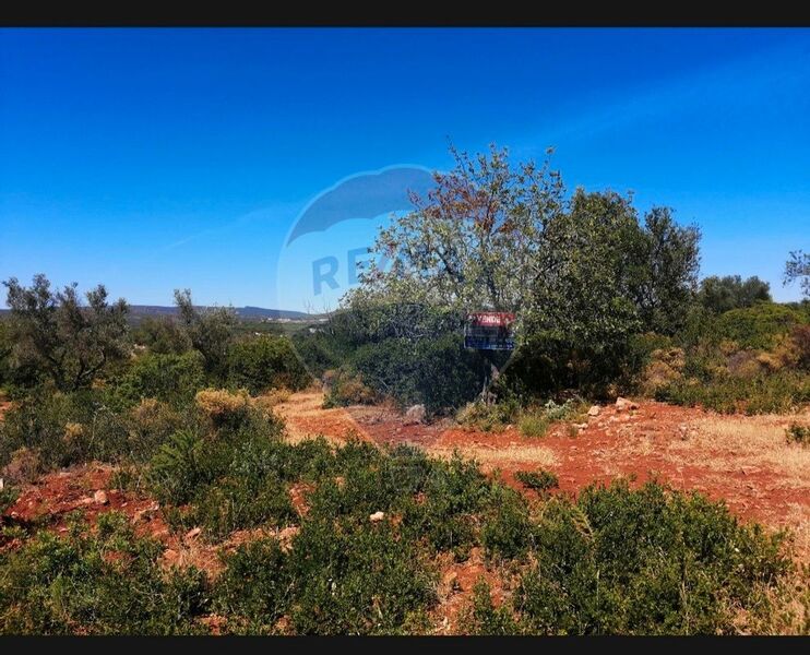 Land with 10000sqm Paderne Albufeira - construction viability