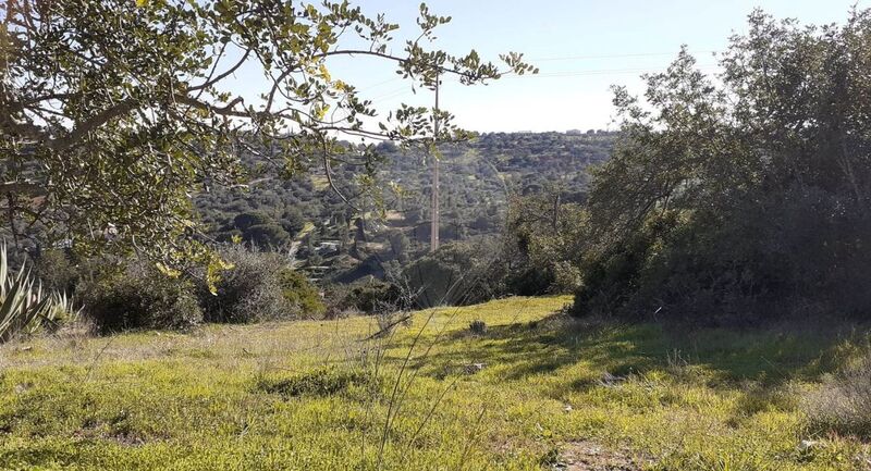 Terreno Rústico com 8584m2 Paderne Albufeira - electricidade