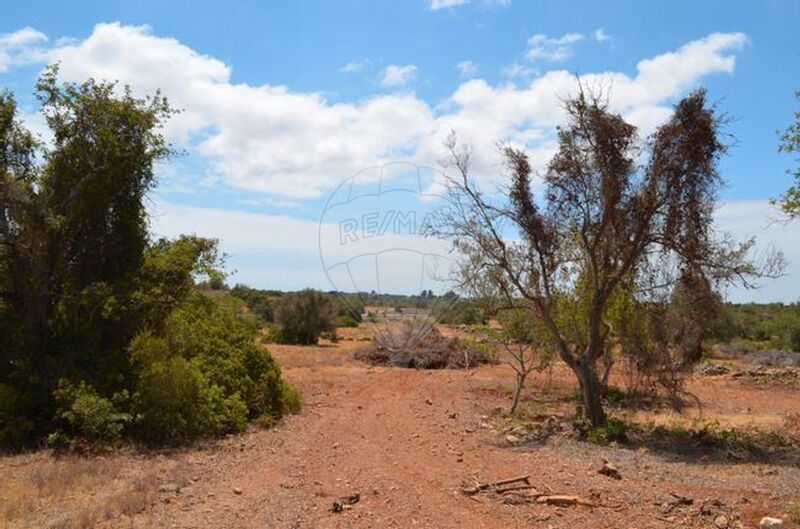 Land Rustic with 10770sqm Ferreiras Albufeira - electricity, olive trees, arable crop