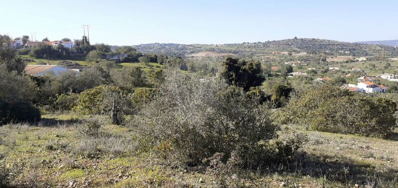 Land Rustic with 3200sqm Paderne Albufeira - great location